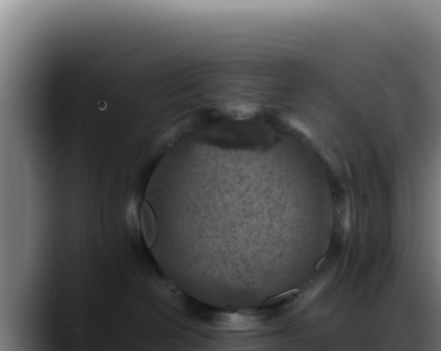 X0000088400286200705291435