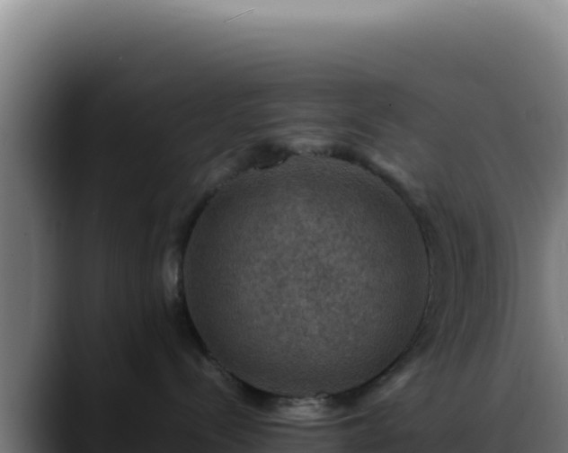 X0000088400288200705291435