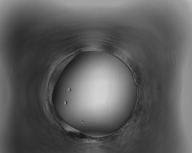 X0000088400289200705291434