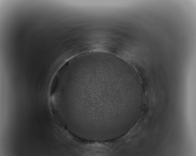 X0000088400290200705291434