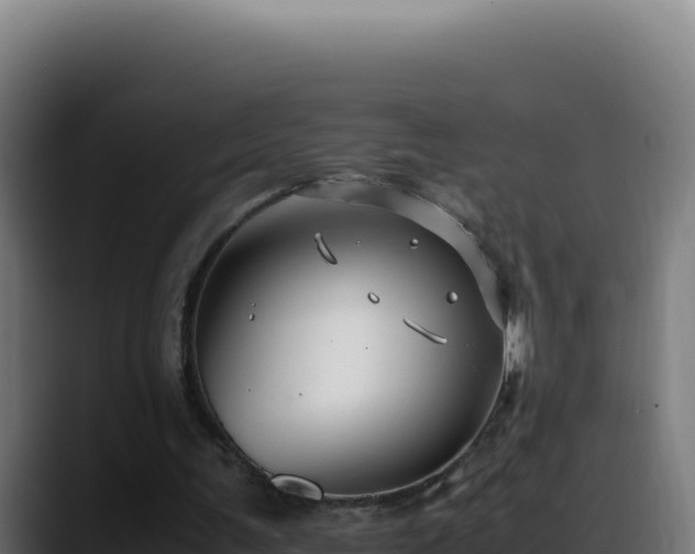 X0000088400291200705291434