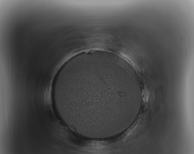 X0000088400292200705291434