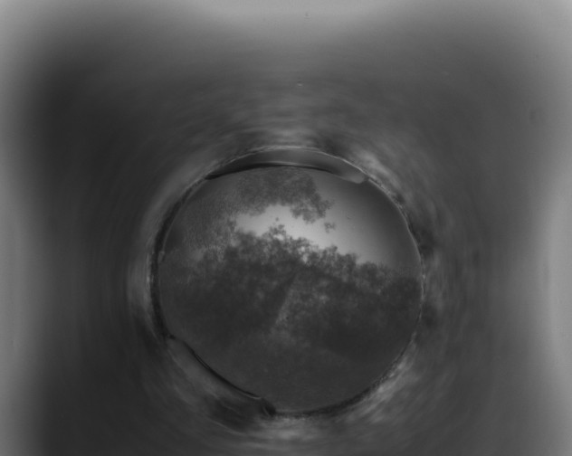 X0000088400293200705291434