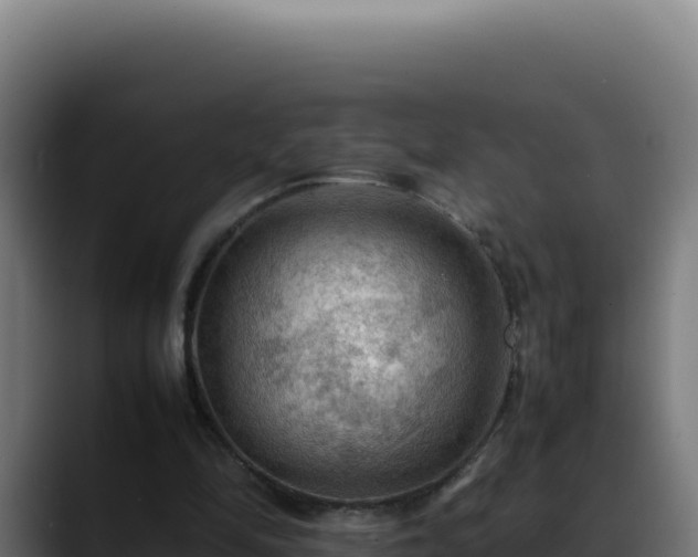 X0000088400294200705291434