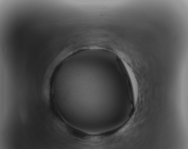 X0000088400295200705291434