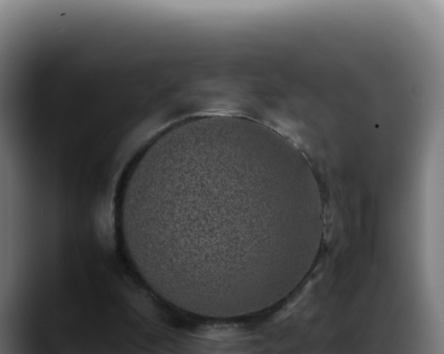 X0000088400296200705291434