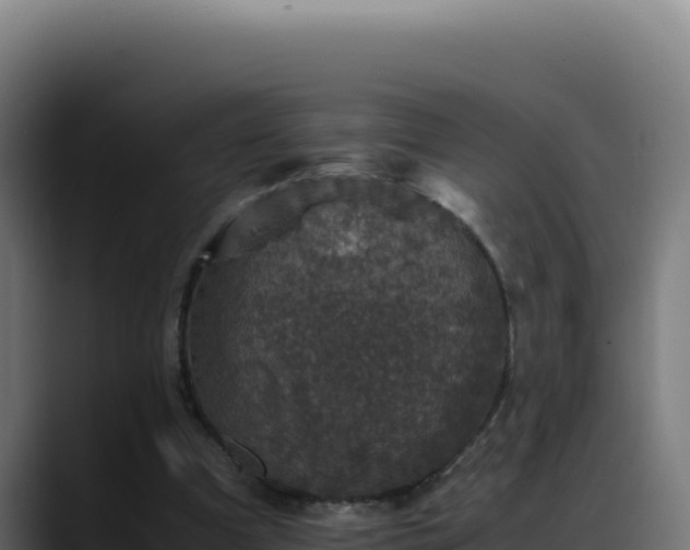 X0000088400297200705291434