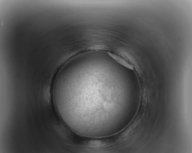 X0000088400298200705291434