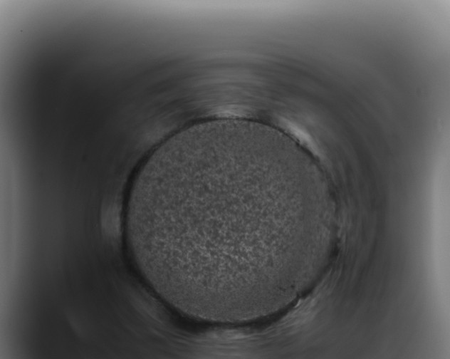 X0000088400299200705291434