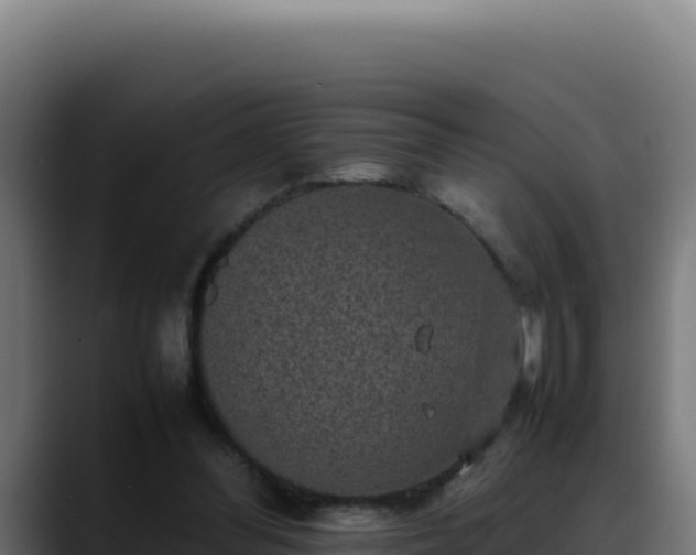 X0000088400300200705291434