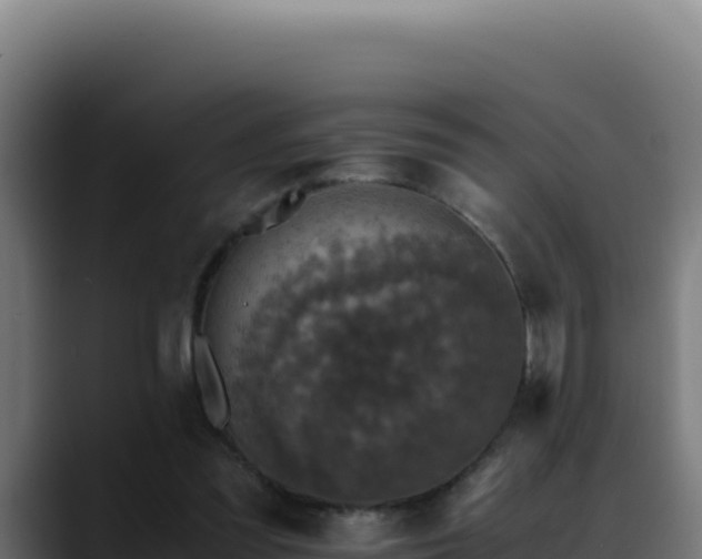 X0000088400301200705291434