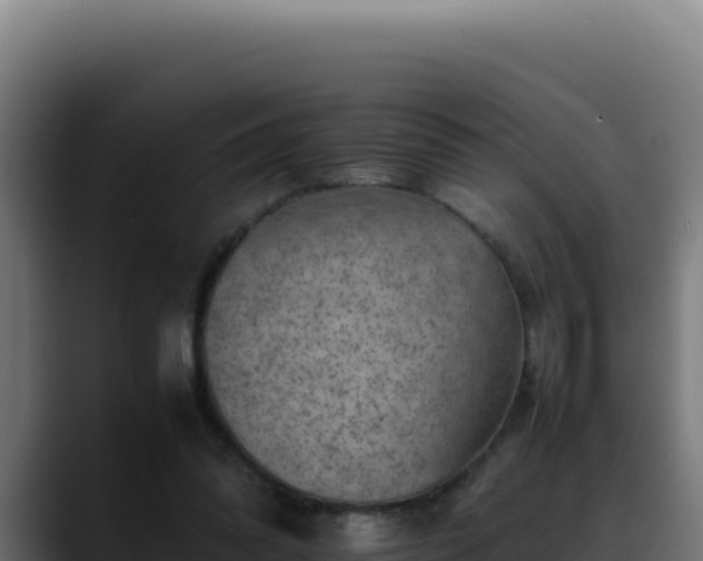 X0000088400302200705291434