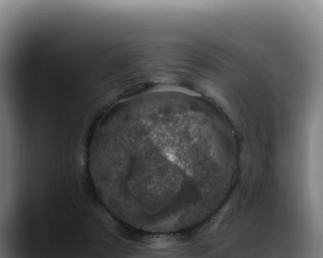 X0000088400305200705291434