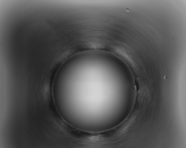 X0000088400306200705291434