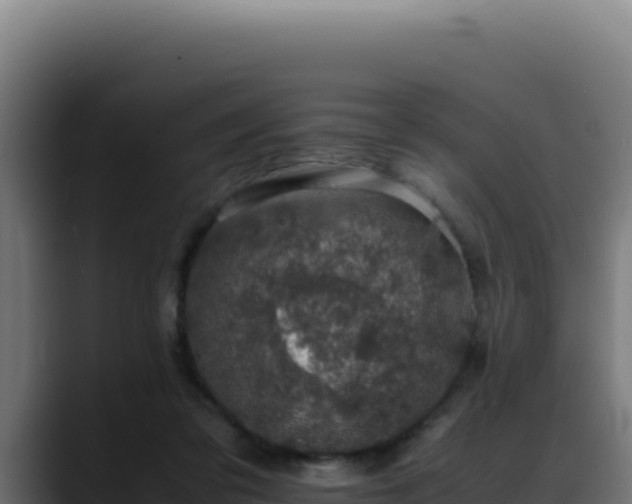 X0000088400309200705291434