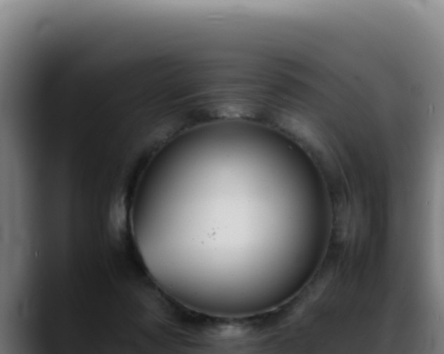 X0000088400310200705291434