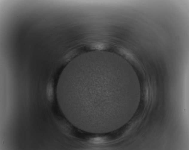 X0000088400312200705291434