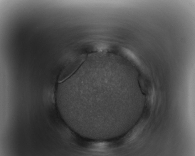 X0000088400313200705291434