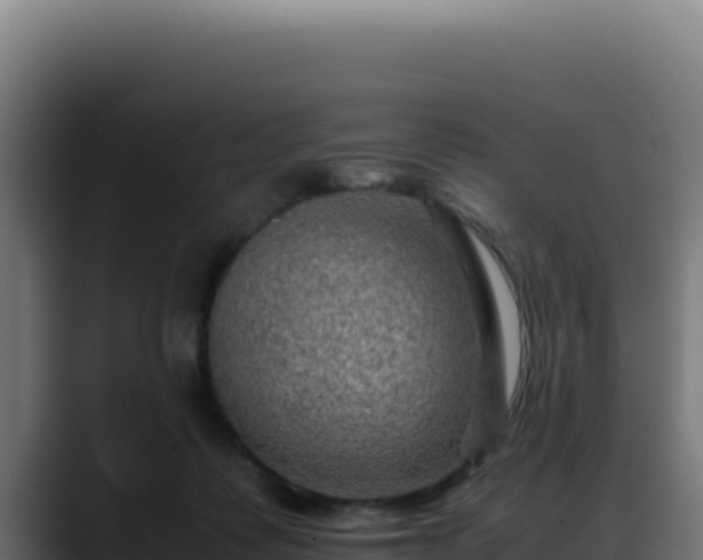 X0000088400315200705291434