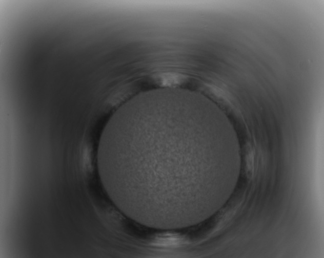 X0000088400316200705291434