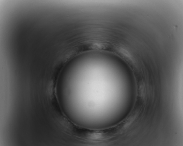 X0000088400318200705291434