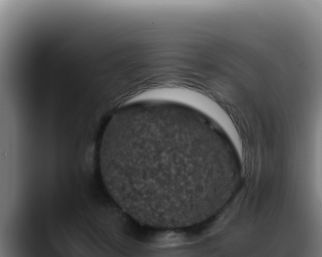 X0000088400319200705291434