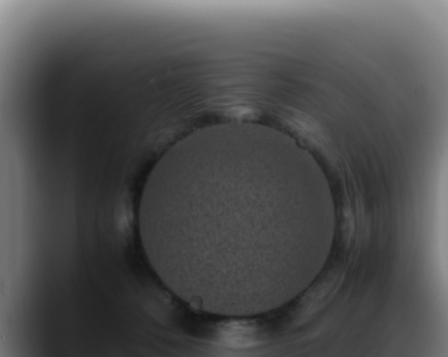 X0000088400320200705291434