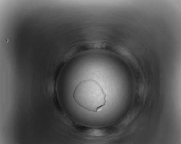 X0000088400326200705291434