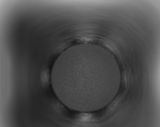 X0000088400328200705291434