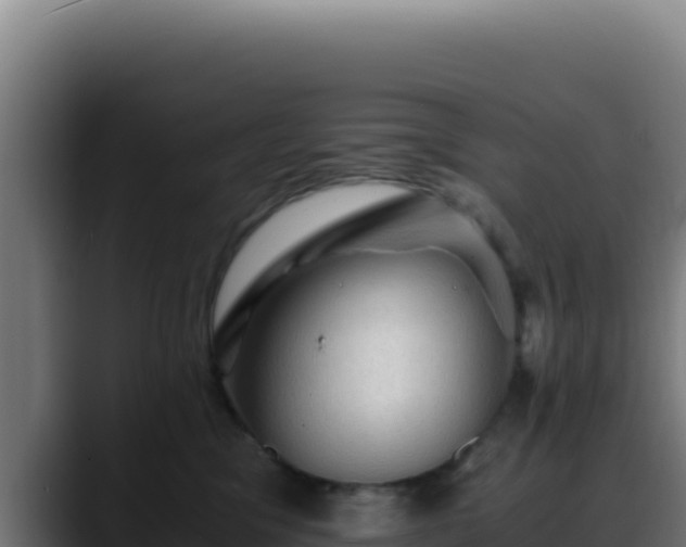 X0000088400329200705291434