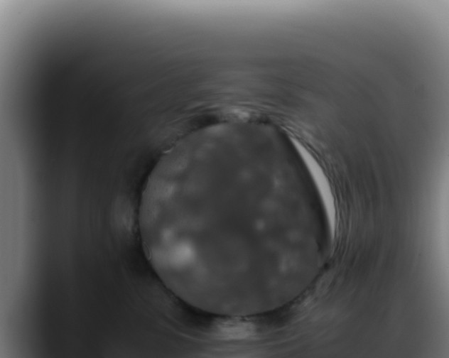 X0000088400331200705291434