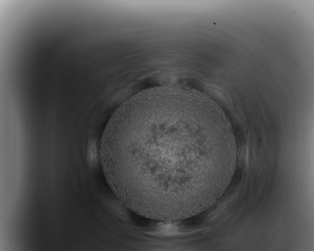 X0000088400335200705291434