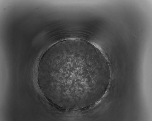 X0000088400337200705291433