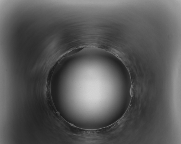 X0000088400338200705291433