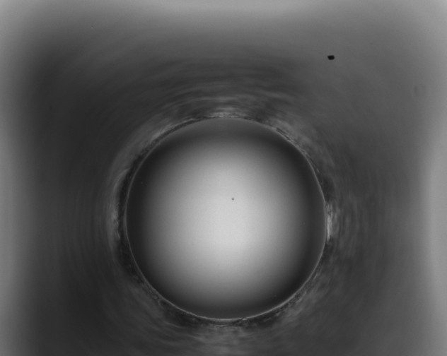 X0000088400339200705291433