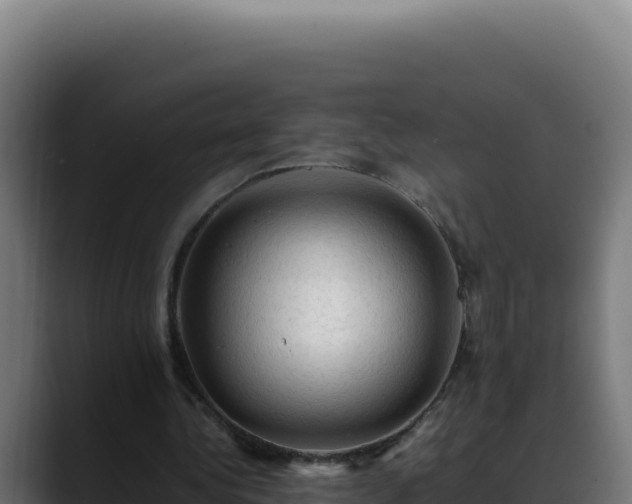 X0000088400340200705291433