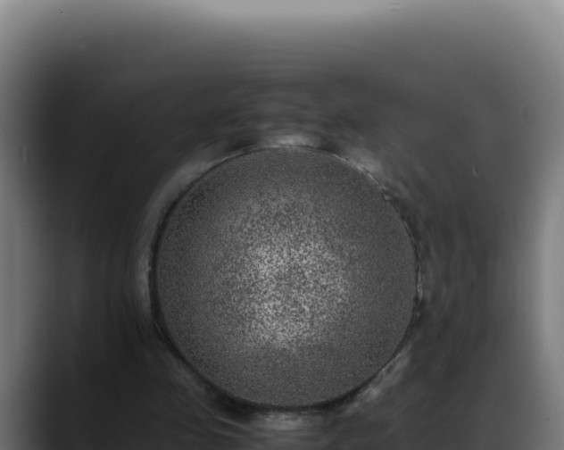 X0000088400341200705291433