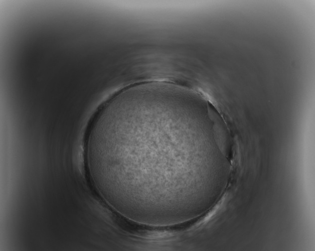 X0000088400342200705291433