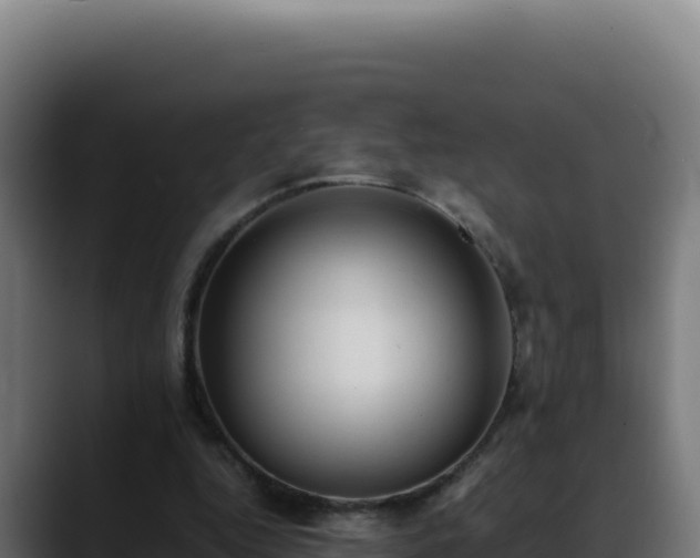 X0000088400344200705291433