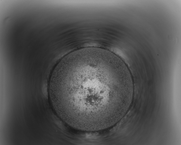 X0000088400345200705291433