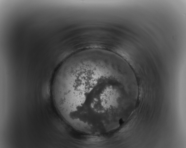 X0000088400347200705291433