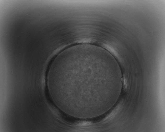 X0000088400348200705291433