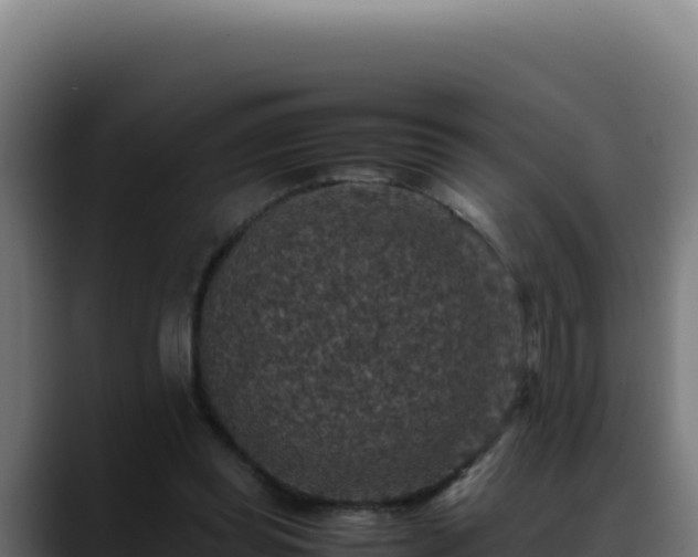 X0000088400349200705291433