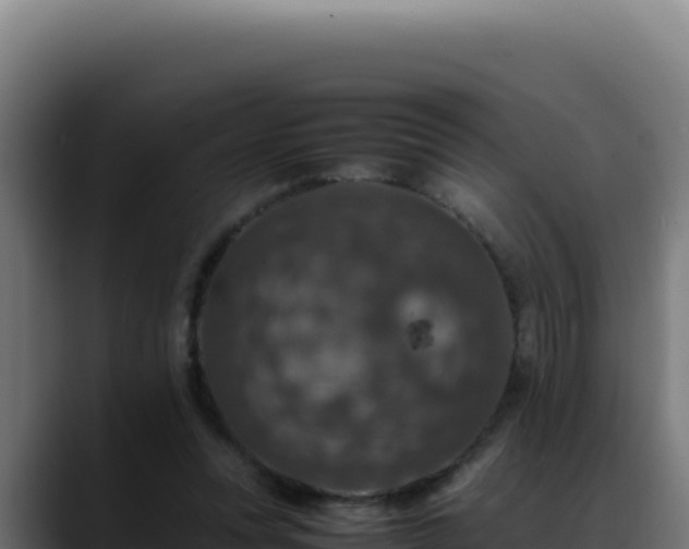 X0000088400351200705291433