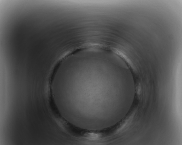 X0000088400352200705291433