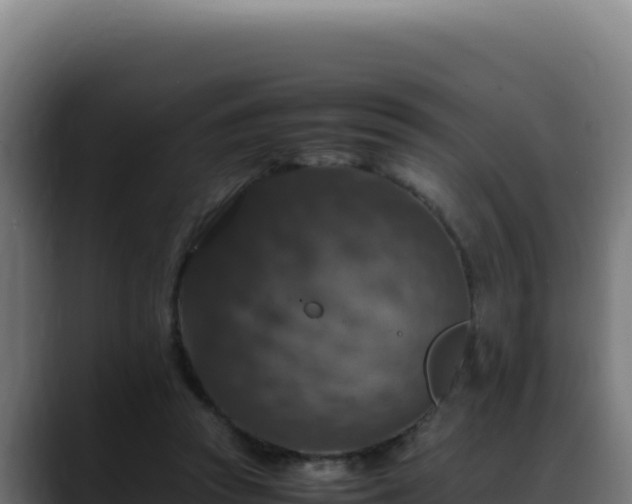 X0000088400353200705291433