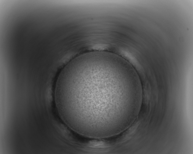 X0000088400354200705291433