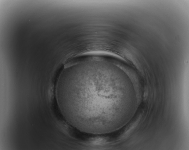 X0000088400356200705291433