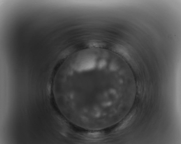 X0000088400357200705291433