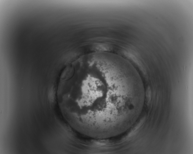 X0000088400359200705291433